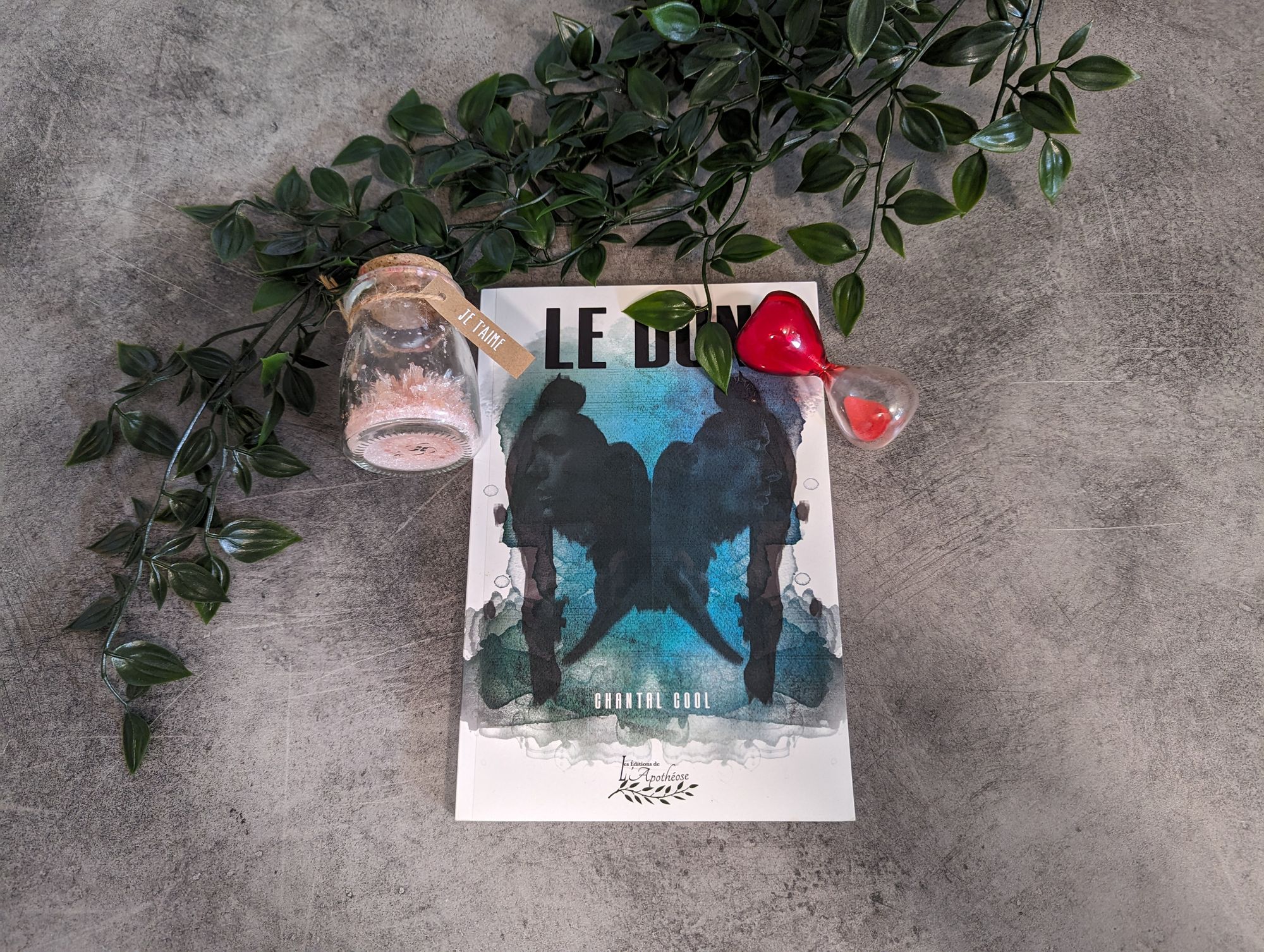 Image du livre Le Don de Chantal Cool