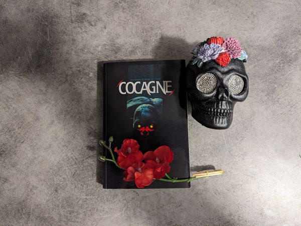Cocagne, roman de Pierre Luc cool sorti en 2022